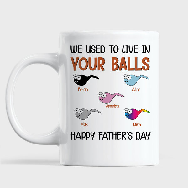 We Used To Live In Your Balls Mug, Personalized Father's Day Mug